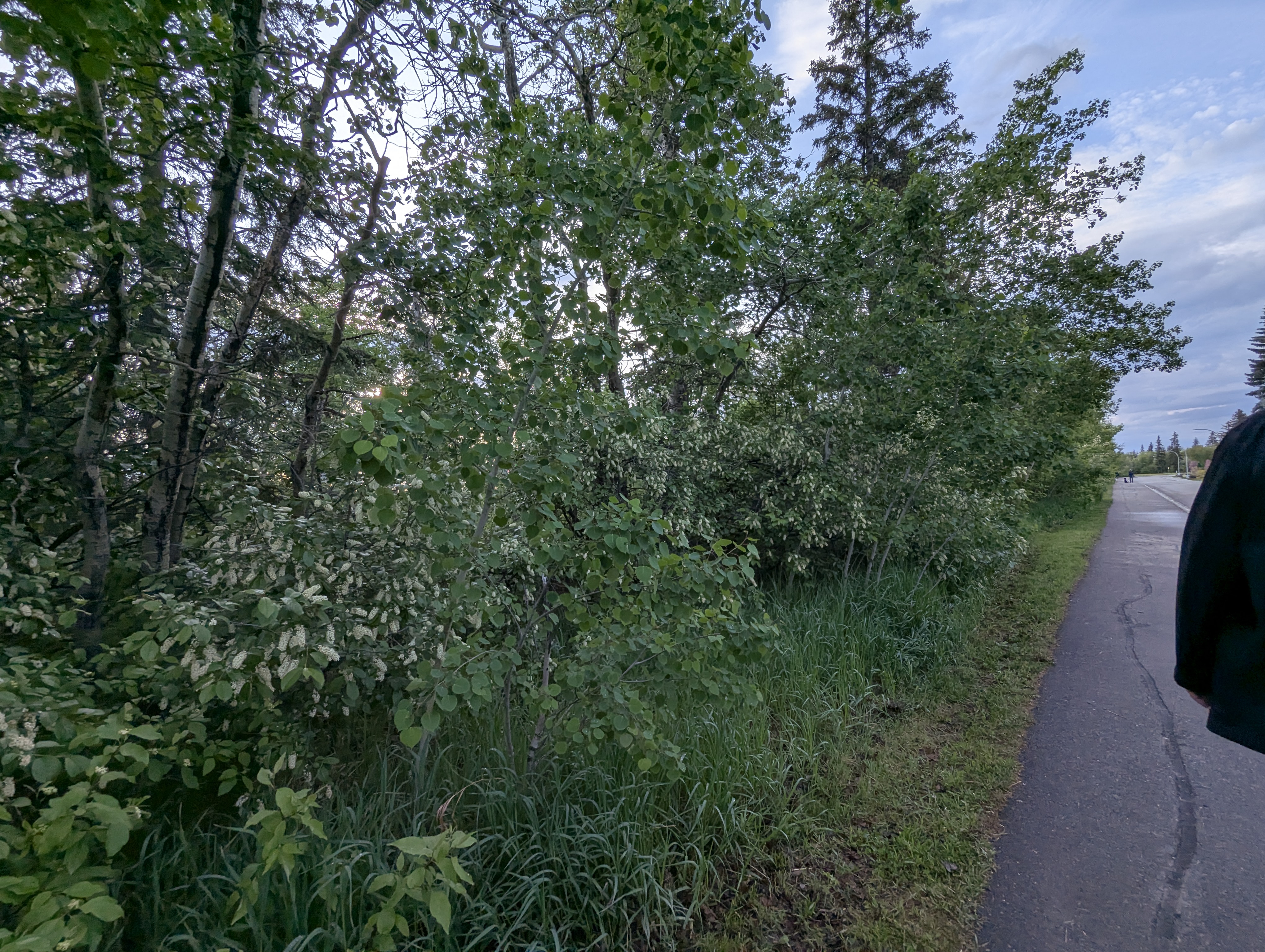 Birthday Trip to Canada, Edmonton